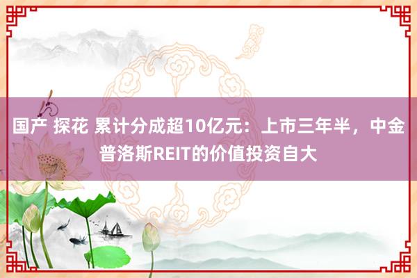 国产 探花 累计分成超10亿元：上市三年半，中金普洛斯REIT的价值投资自大