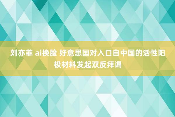 刘亦菲 ai换脸 好意思国对入口自中国的活性阳极材料发起双反拜谒