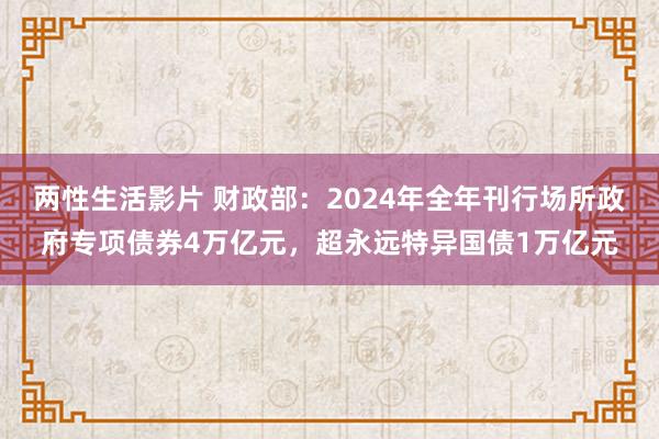 两性生活影片 财政部：2024年全年刊行场所政府专项债券4万亿元，超永远特异国债1万亿元