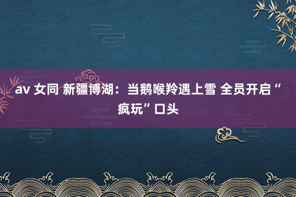 av 女同 新疆博湖：当鹅喉羚遇上雪 全员开启“疯玩”口头