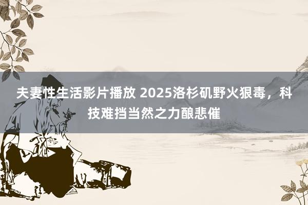 夫妻性生活影片播放 2025洛杉矶野火狠毒，科技难挡当然之力酿悲催