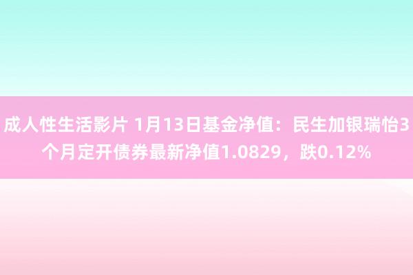 成人性生活影片 1月13日基金净值：民生加银瑞怡3个月定开债券最新净值1.0829，跌0.12%