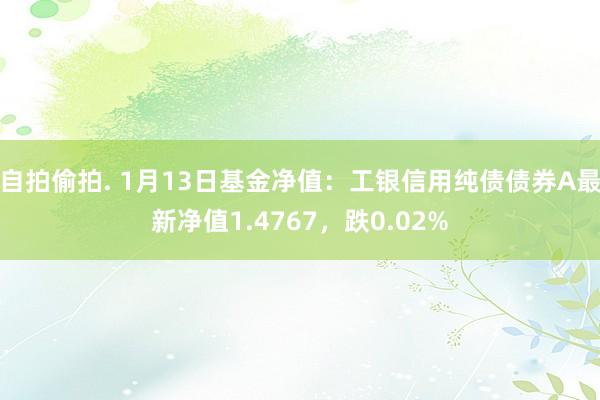 自拍偷拍. 1月13日基金净值：工银信用纯债债券A最新净值1.4767，跌0.02%