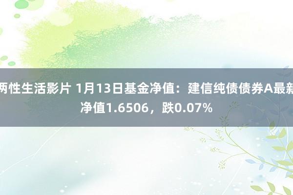 两性生活影片 1月13日基金净值：建信纯债债券A最新净值1.6506，跌0.07%