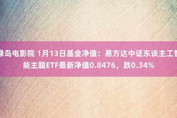 绿岛电影院 1月13日基金净值：易方达中证东谈主工智能主题ETF最新净值0.8476，跌0.34%