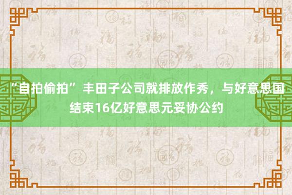 “自拍偷拍” 丰田子公司就排放作秀，与好意思国结束16亿好意思元妥协公约